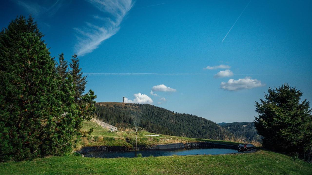 Berggasthof Zur Todtnauer Huette Фелдберг Екстериор снимка