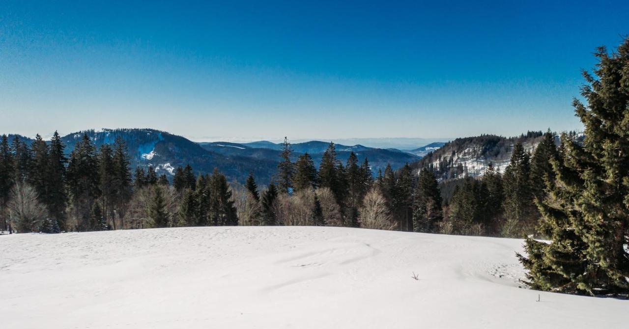 Berggasthof Zur Todtnauer Huette Фелдберг Екстериор снимка