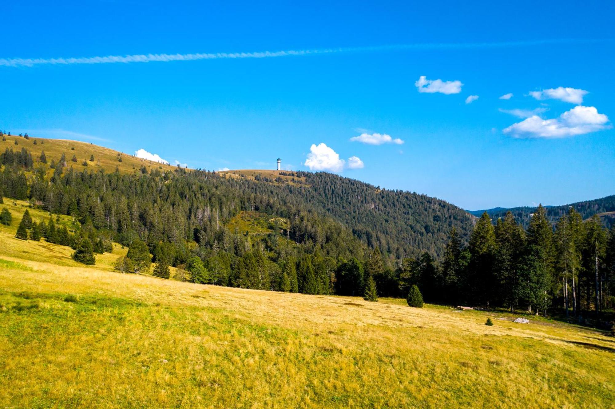 Berggasthof Zur Todtnauer Huette Фелдберг Екстериор снимка